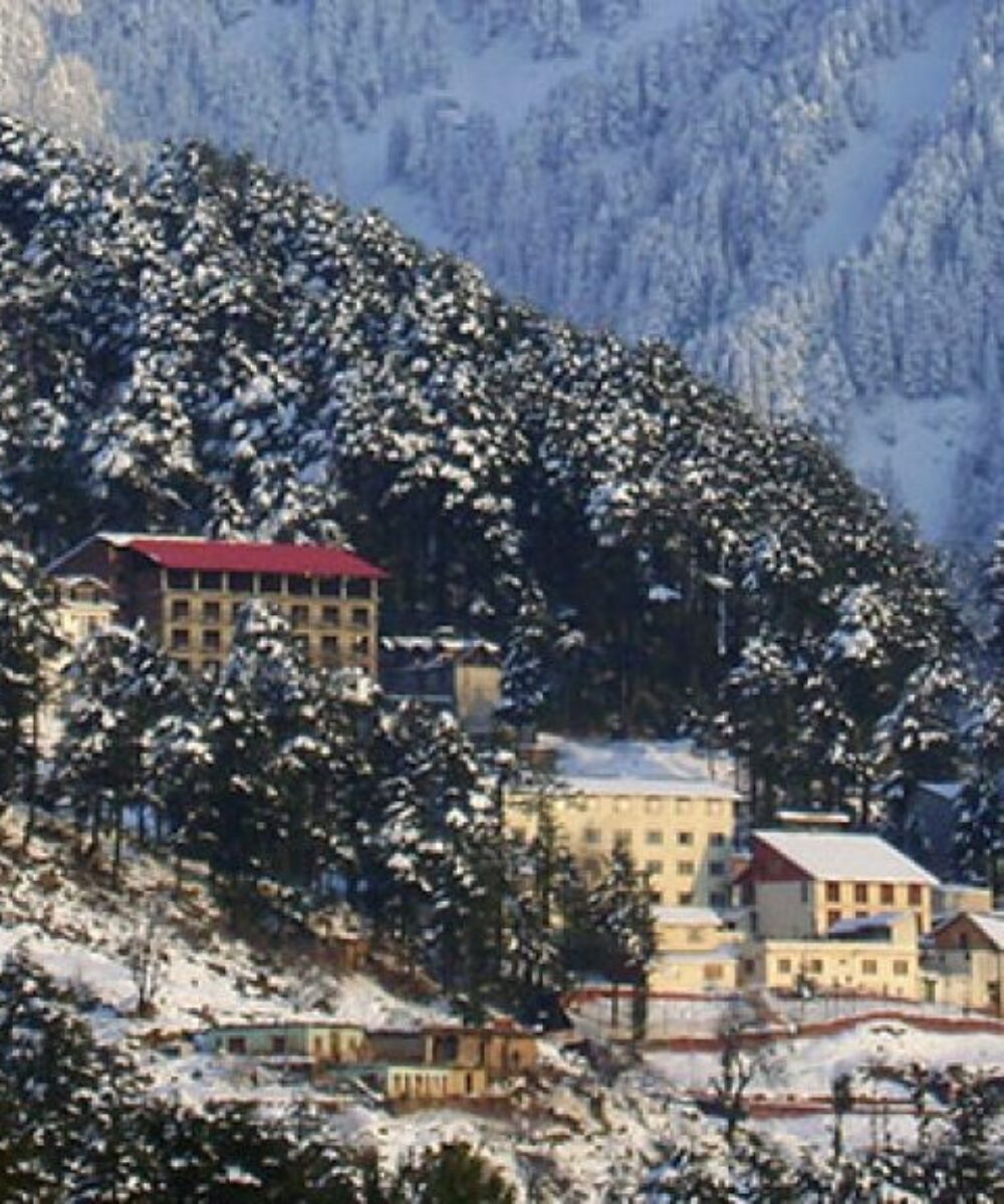 J&K: A Dream Destination: Patnitop