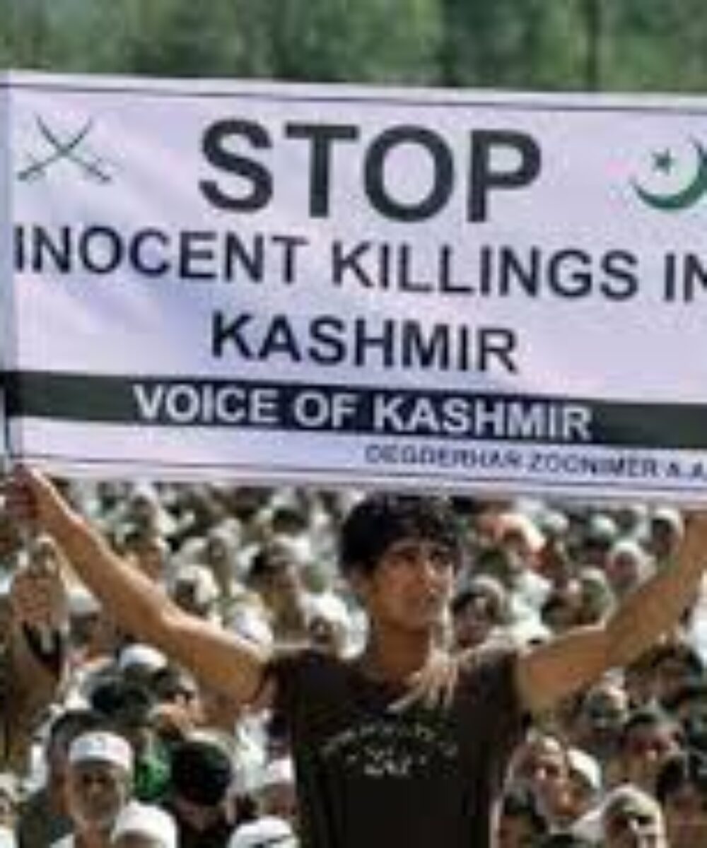 How Many Innocent Lives More? Wakeup Now!