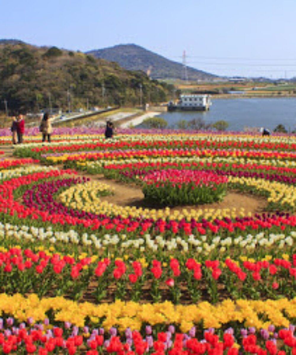 J&K: A Dream Destination : Jammu Flower Garden